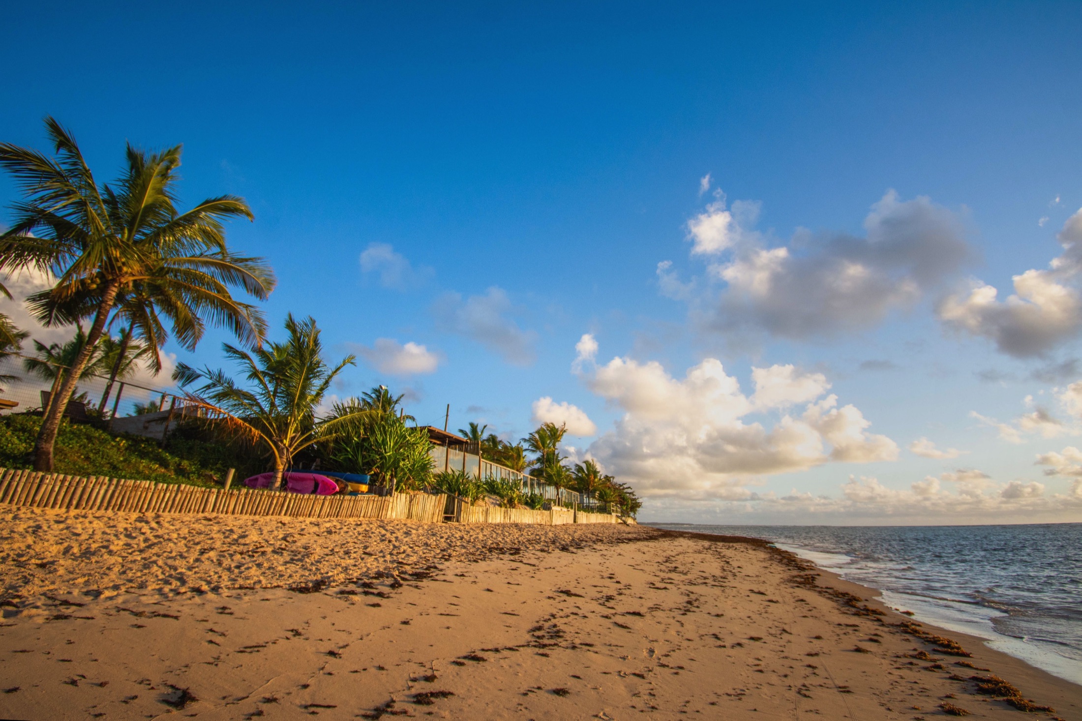 Mozambican coast